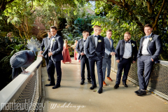 National-Aviary-Wedding_Kara-Alex_Mathew-Blassey-photographer_20227