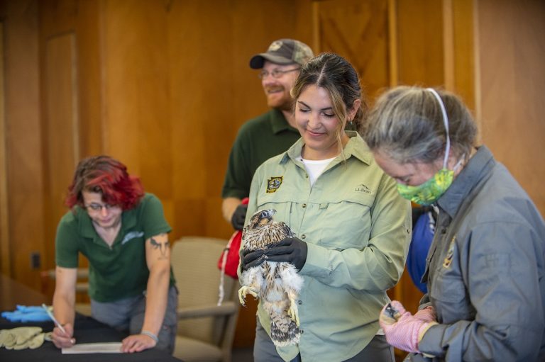 Live Streams | National Aviary