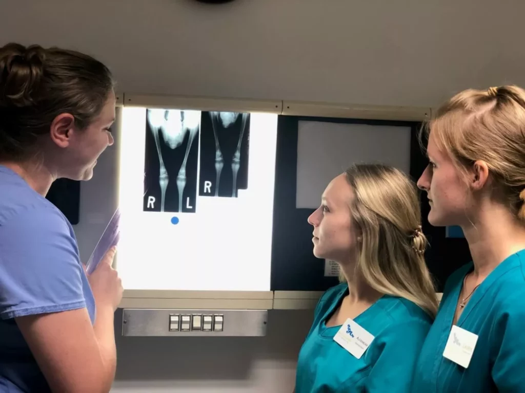 Interns looking at x-rays alongside a National Aviary veterinarian. 