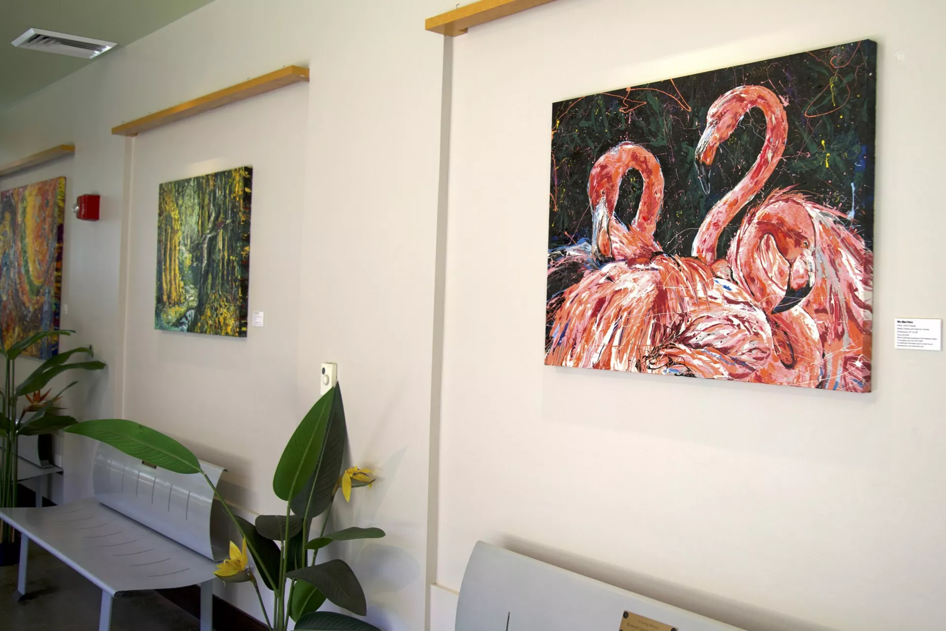 Gallery wall in the National Aviary's The Charity Randall Foundation Eagle Hall. Paintings including flamingos, a woodpecker, and a DoDo. 