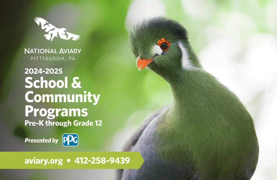 Cover of the National Aviary's 2024-2025 Education Brochure featuring a White-cheeked Turaco.