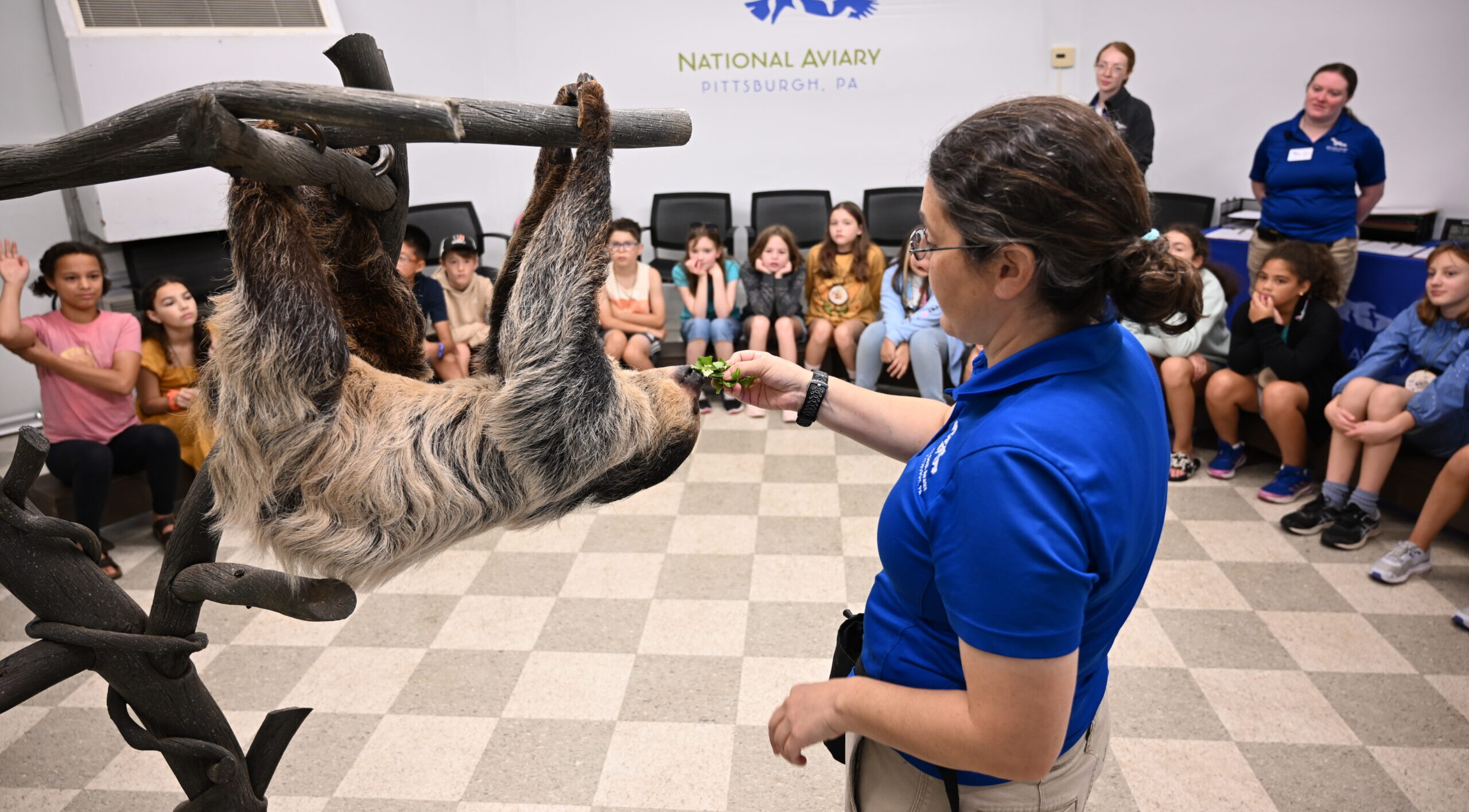 Kids sitting and watching while an Aviary expert feeds a sloth lettuce during camp.