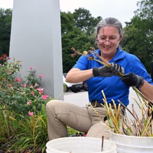 A horticulturist tending to a garden.