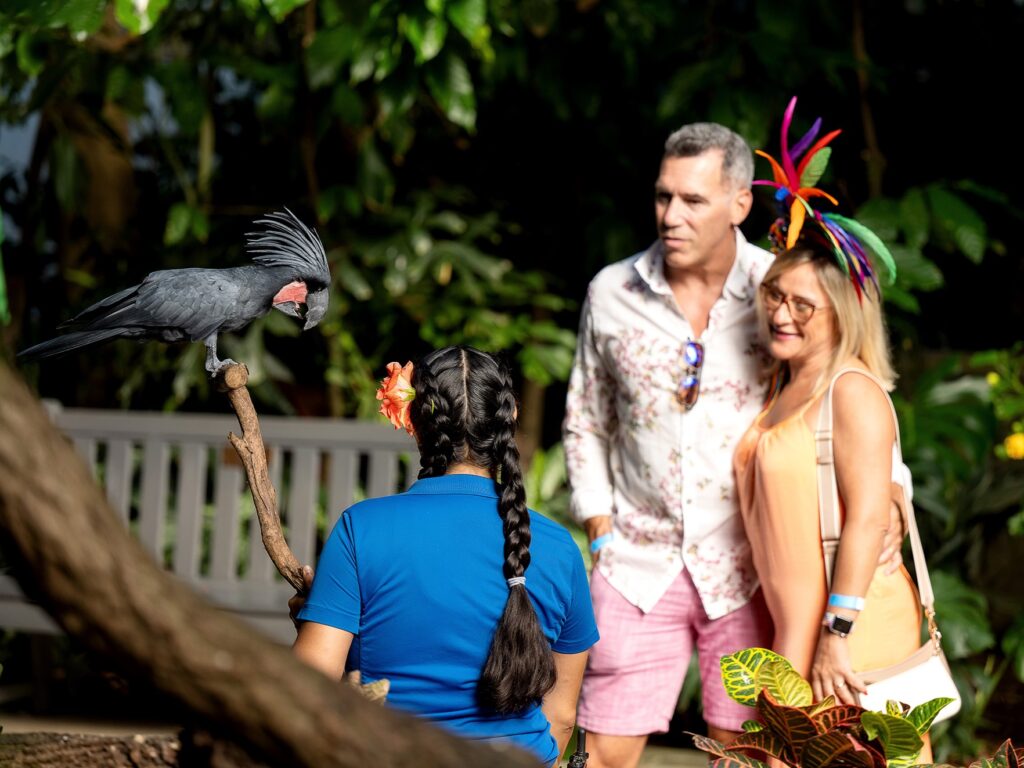 Guests meeting a National Aviary expert and a Palm Cockatoo at the National Aviary's Night in the Tropics